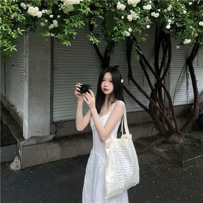 少女骑士物语